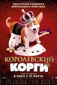 Королевский корги Королевский корги