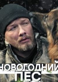 Новогодний пёс сериал