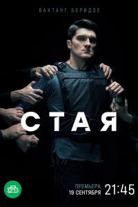 Сериал Стая