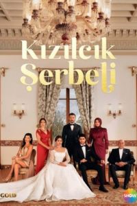 Клюквенный щербет / Kizilcik Serbeti Клюквенный щербет / Kizilcik Serbeti