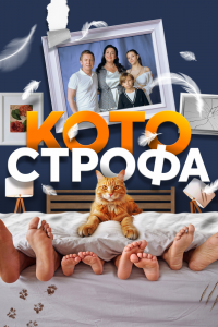 Котострофа Котострофа