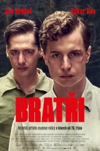 Братья Братья