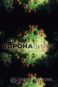 Коронавирус. Все, что нужно знать