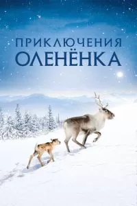 Приключения олененка Приключения олененка