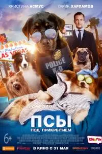 Псы под прикрытием Псы под прикрытием