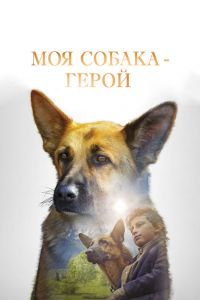 Моя собака - герой Моя собака - герой