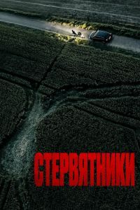 Стервятники Стервятники