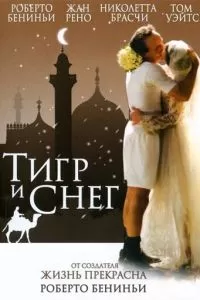 Тигр и снег Тигр и снег