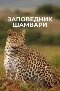 Заповедник Шамвари Заповедник Шамвари