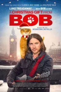 Подарок от кота Боба 2020 Подарок от кота Боба 2020