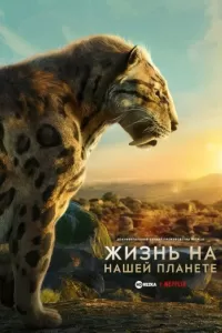Жизнь на нашей планете Жизнь на нашей планете