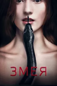 Змея Змея