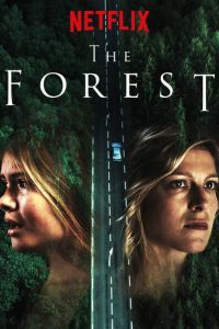 Лес. Сериал Лес. Сериал
