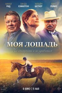 Моя лошадь Моя лошадь