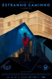 Странный путь Странный путь