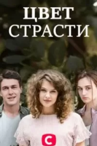 Цвет страсти сериал