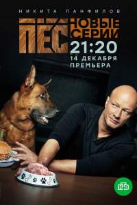Смотреть «Пёс» 4 сезон 7 серия в хорошем качестве онлайн на сайте onskemal.ru