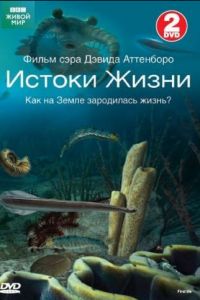 Постер к BBC: Истоки жизни