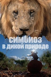 Постер к Симбиоз в дикой природе