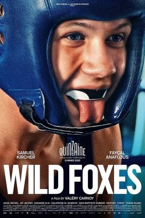 Танец лис 2025