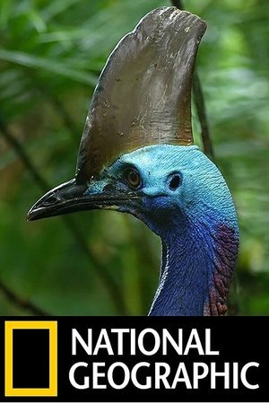 Постер к Птица-динозавр